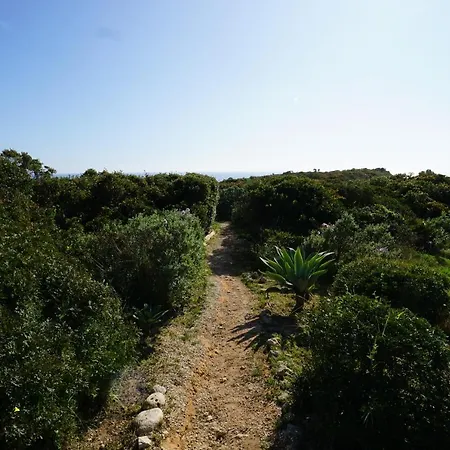 Gaivota 3g Ferragudo (Faro)