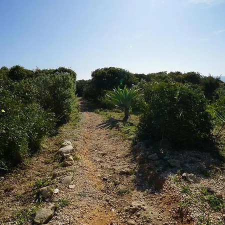 Διαμέρισμα Gaivota 3g *