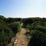 Gaivota 3g Ferragudo (Faro)